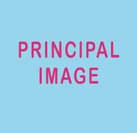 principal